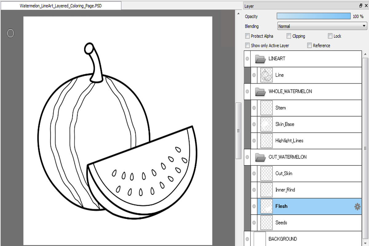 Watermelon Line Art Coloring Page (PSD Layered + PNG) | 4000&times;4000 px, 300 DPI