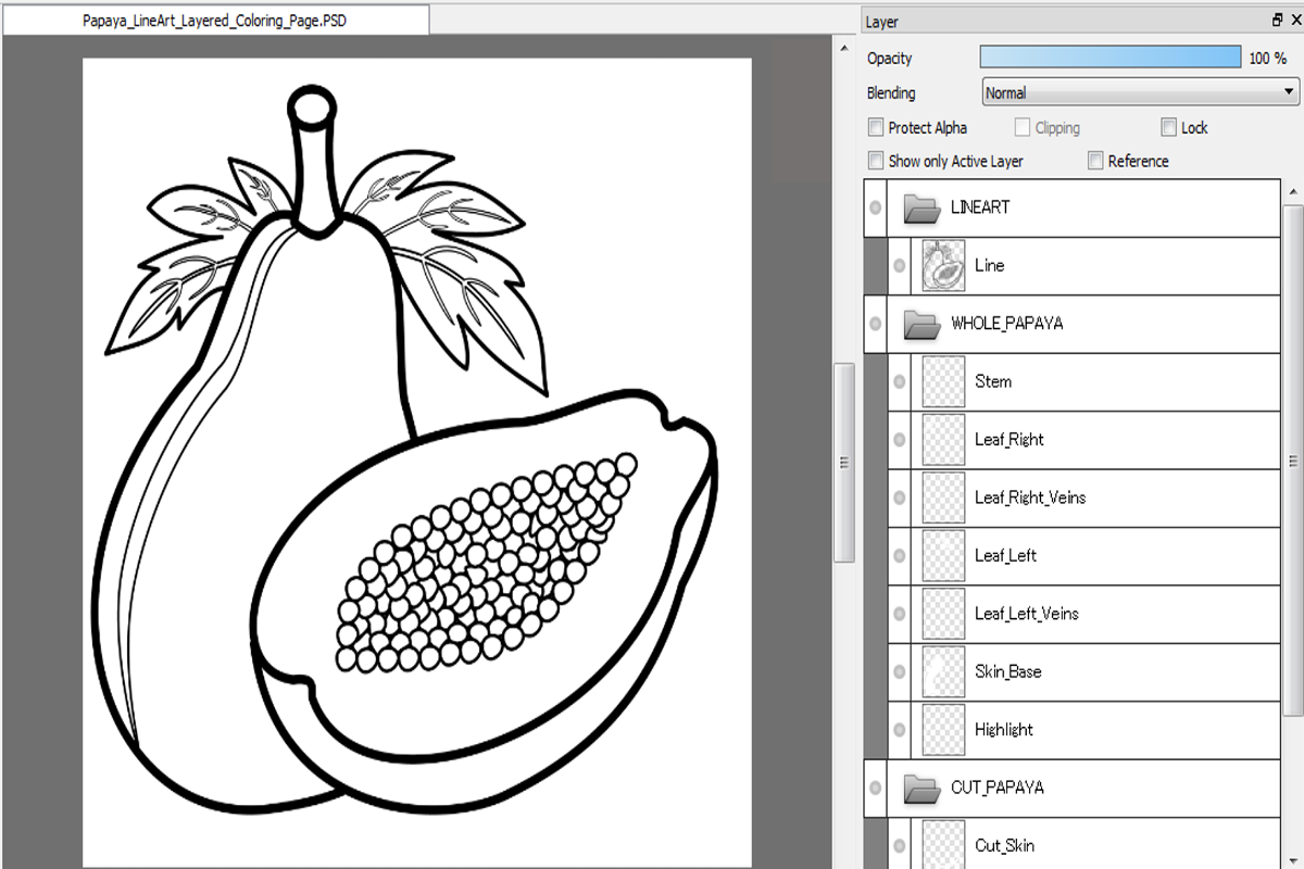 Papaya Line Art Coloring Page (PSD Layered + PNG) | 4000&times;4000 px, 300 DPI