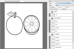 Orange Line Art Coloring Page (PSD Layered + PNG) | 4000&times;4000 px, 300 DPI