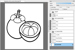 Mangosteen Line Art Coloring Page (PSD Layered + PNG) | 4000&times;4000 px, 300 DPI