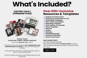 Digital Resell Vault Premium Plan - 650+ Digital Product High Price Editable PLR