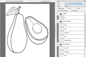 Avocado Line Art Coloring Page (PSD Layered + PNG) | 4000&times;4000 px, 300 DPI